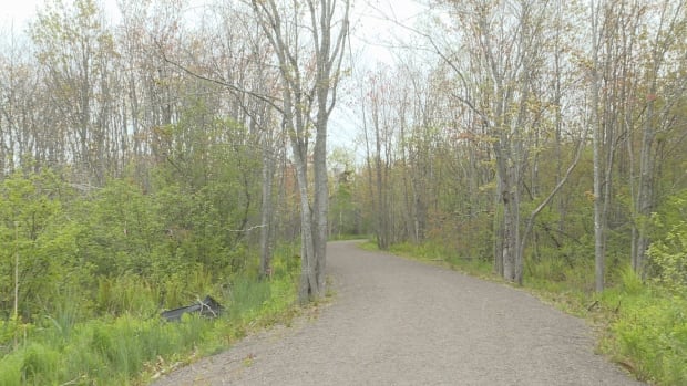 Walking trail