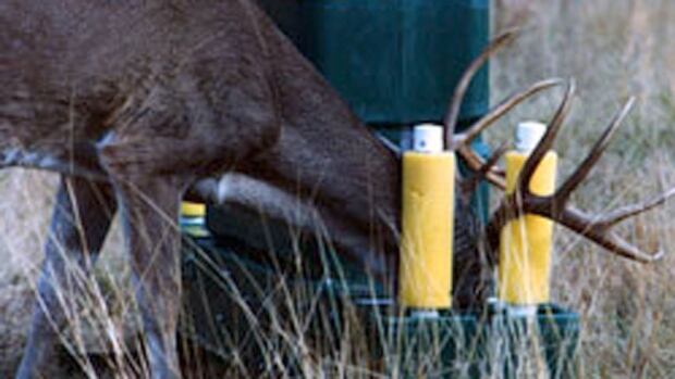 Lunenburg Nova Scotia >> Deer bait stations could fight Lyme disease in New ... Lunenburg Nova Scotia >> Deer bait stations could fight Lyme disease in New ...