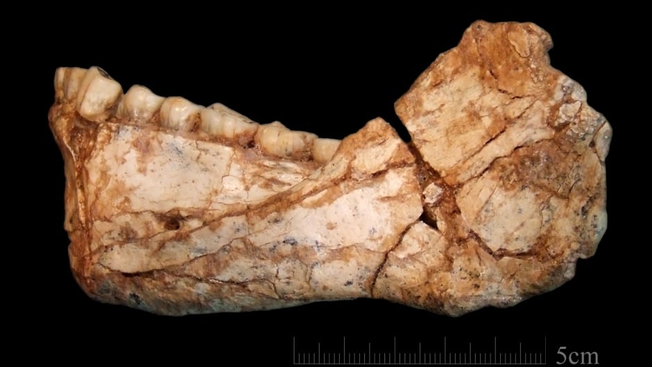 It's been long believed that East Africa was where modern humans evolved. But the latest discovery of fossils in northwestern Africa shows otherwise.