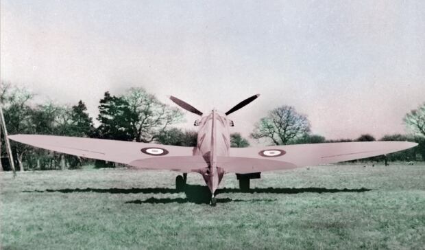 pink plane
