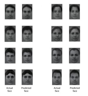 Tsao faces