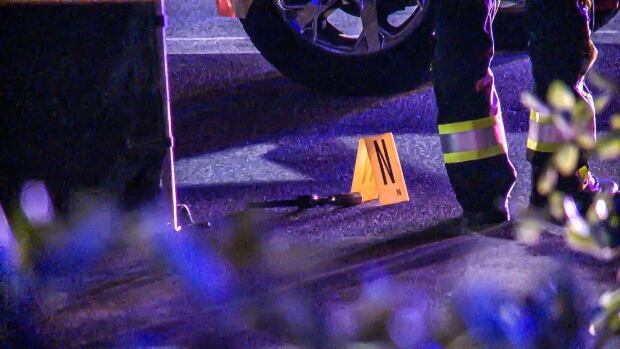 LANGLEY RESTAURANT HOMICIDE GUN