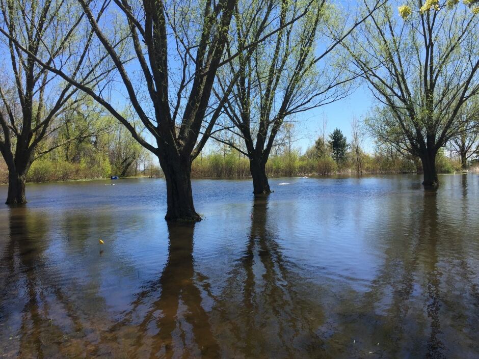 toronto islands flooding