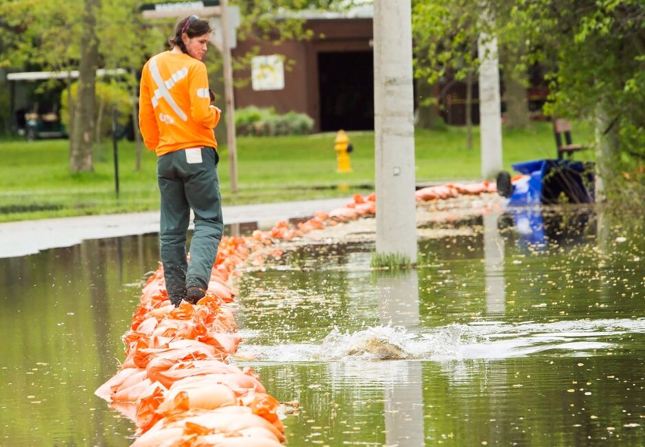 Toronto Island Flooding