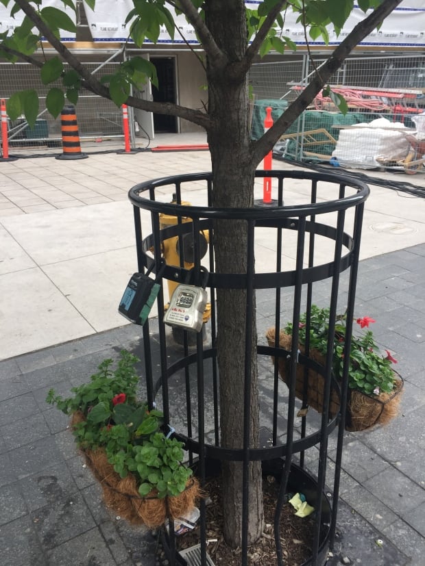 Airbnb tree