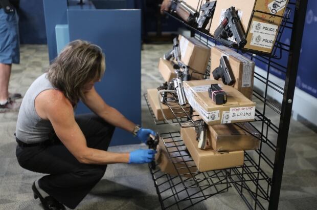Gun Seizure