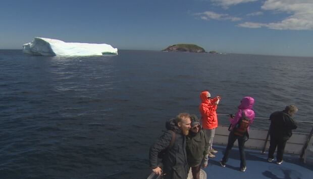 Icebergs newfoundland