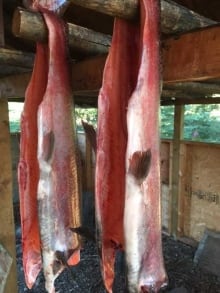 Salmon drying