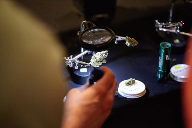 Marijuana Sommelier 20170618