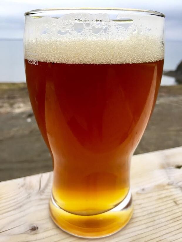 Secret Cove Microbrewery beer glass