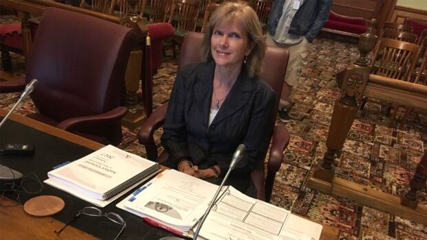 New Brunswick should legislate greenhouse gas reduction targets: auditor general