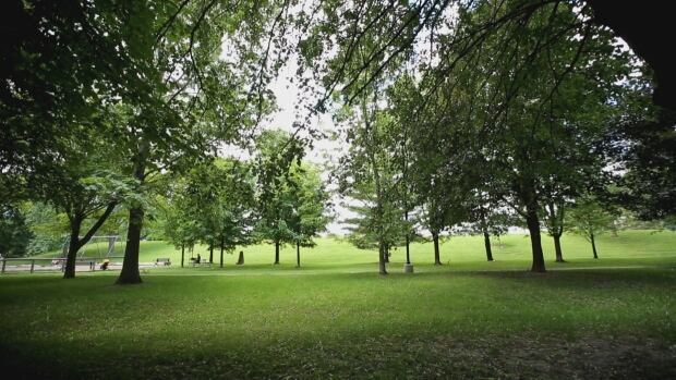 David A. Balfour Park in Deer Park