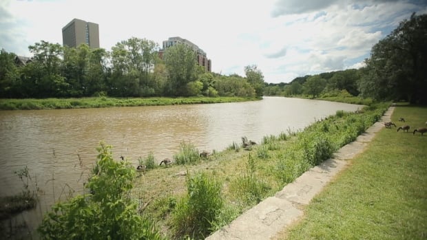 Étienne Brûlé Park at Humber River