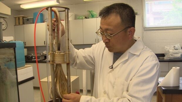 Acadia University chemist Anthony Tong