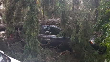 Parts of Red Deer could be without power for next 72 hours, city says