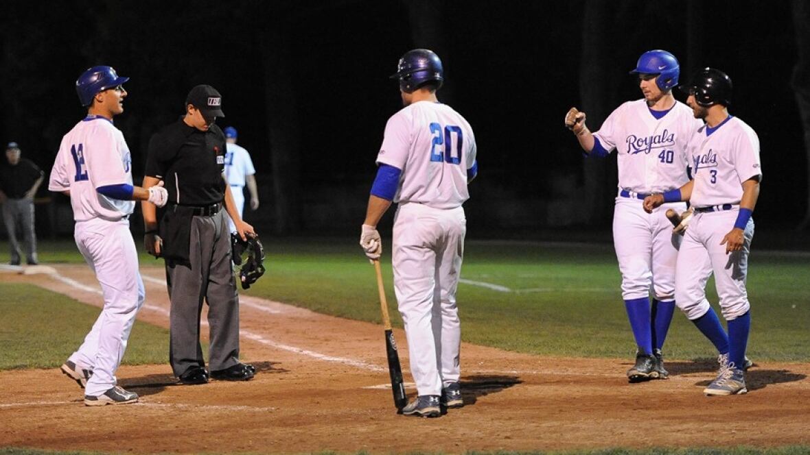 guelph-royals-baseball-team-folds-citing-poor-play-low-ticket-sales