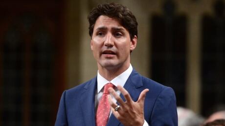 Prime Minister Justin Trudeau stands during question period in the House of Commons on Parliament Hill in Ottawa on Monday, June 19, 2017. THE CANADIAN PRESS/Sean Kilpatrick Question Period 20170619
