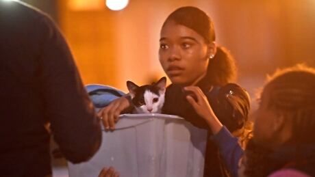 A resident and a cat are evacuated from the Taplow Tower residential block as a precautionary measure following concerns over the type of cladding used on the outside of the building on the Chalcots Estate in north London, Britain, June 23, 2017. REUTERS/Hannah McKay TPX IMAGES OF THE DAY - RTS18F5T BRITAIN-FIRE/