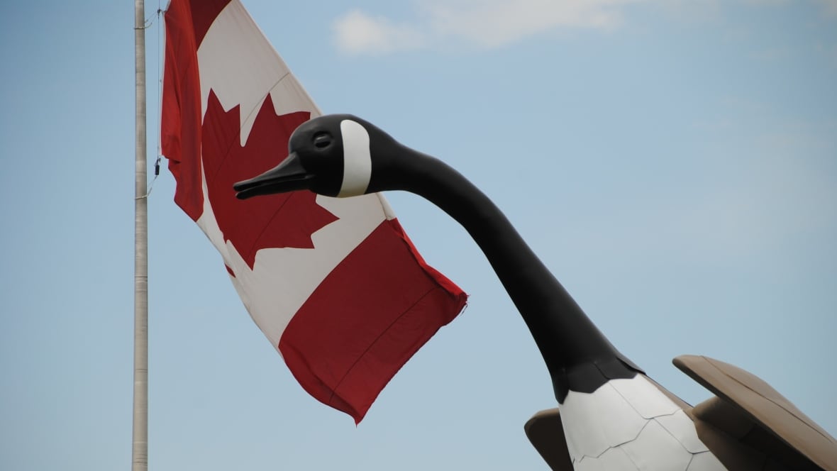 Wawa, Ont. celebrates Canada Day by unveiling new goose Sudbury CBC
