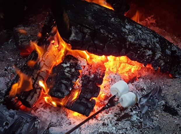 Campfire camp fire marshmallows log burning