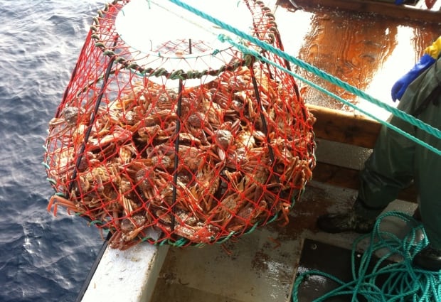Crab on the Burin Tradition
