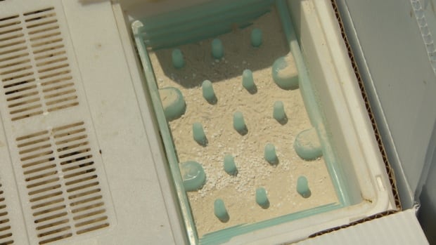 BVT tray