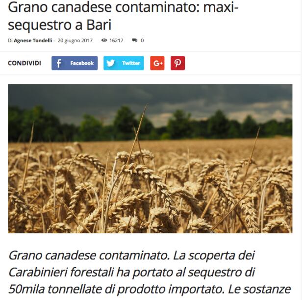 italy trade 5