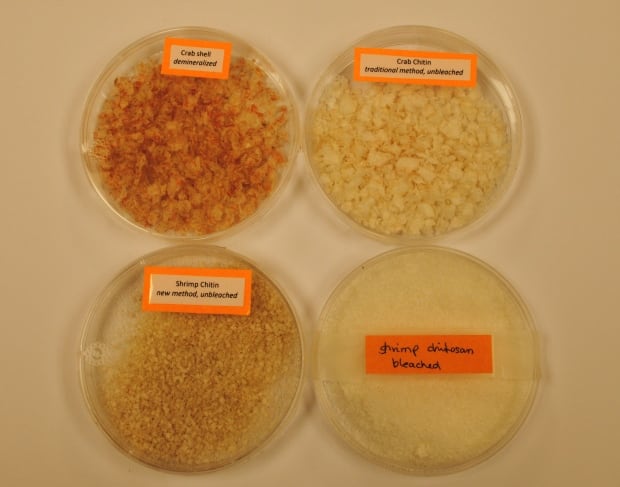 Shrimp and crab shells at Bioprocessing Facility Marine Institute