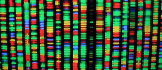 39328204dna_20010822_01076.jpg