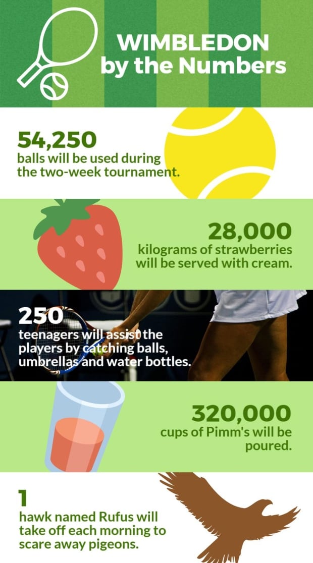 Wimbledon Numbers Infographic
