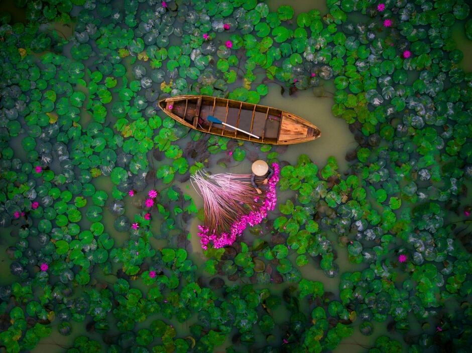 2nd Prize Winner, category people, Waterlily, Vietnam by helios1412.jpg
