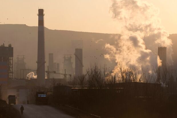 China Coal Addiction