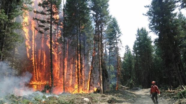 B.C. WILDFIRES 2017 CARIBOO FIRE CENTRE