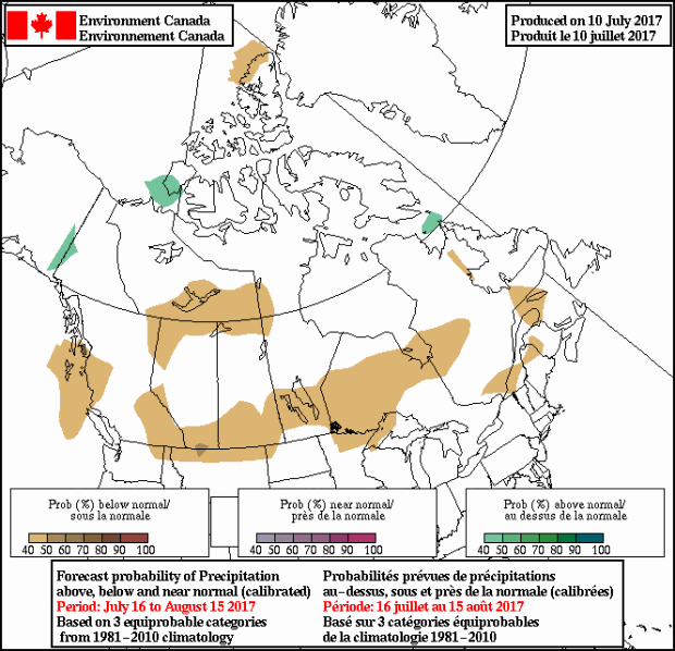 Precipitation map