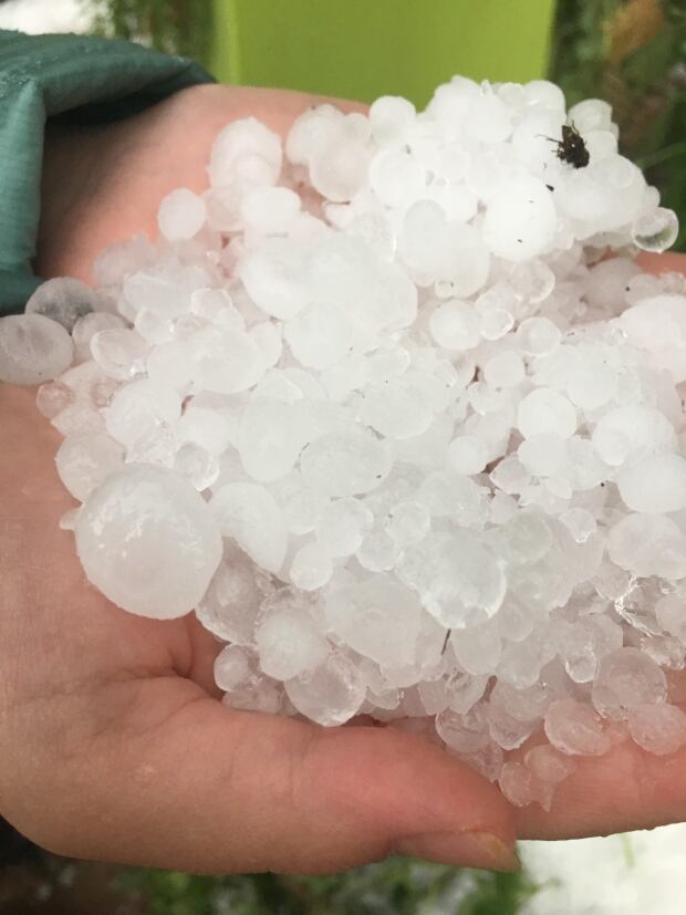 Hail Saskatoon July 10