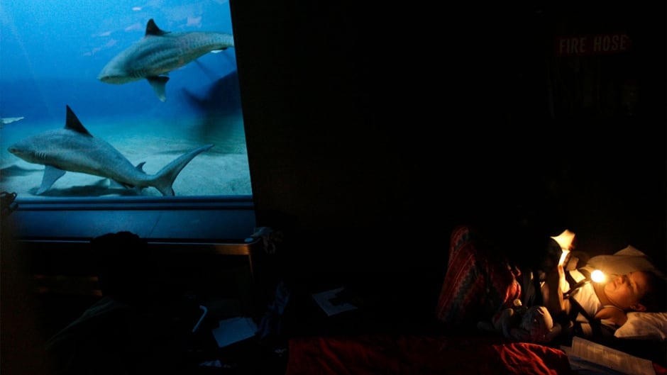 Anabelle Kleinberg, 11, gets snug in her bed while reading her book next to a shark display at the American Museum of Natural History in New York, Monday, Dec. 18, 2006. The new program gives kids a unique way of looking at the museum - by night. (AP Photo/Seth Wenig)