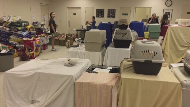 Prince George temporary animal shelter