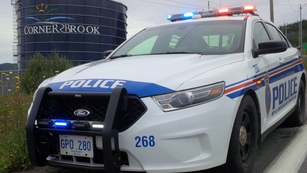Armed robbery, stolen vehicle, break-in part of Corner Brook crime spree - CBC.ca