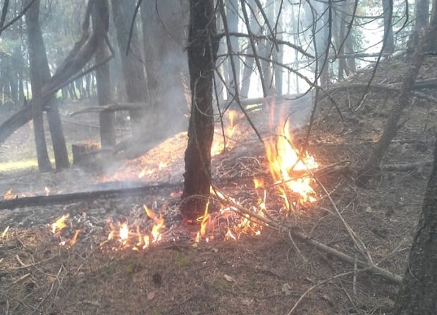 spot fire