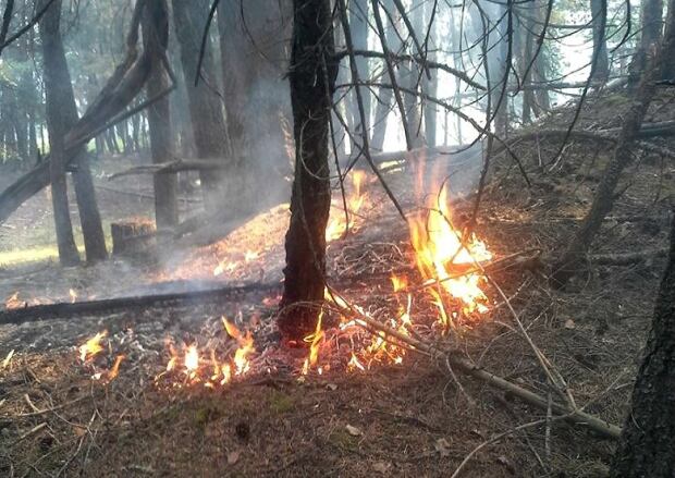 spot fire