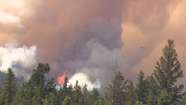 controlled or prescribed burn