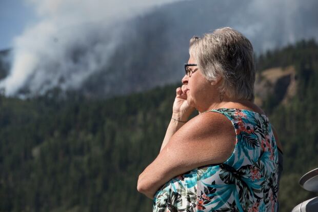 BC wildfires near Little Fort