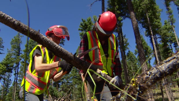 Mitigating disaster: teens spending summer in forest preventing wildfires
