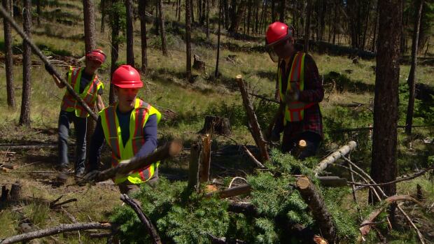 Mitigating disaster: teens spend summer in forest preventing wildfires