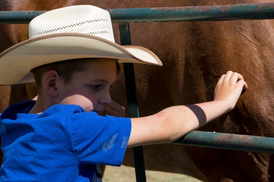 BC Wildfire Wyatt Deeter Pets his Horse