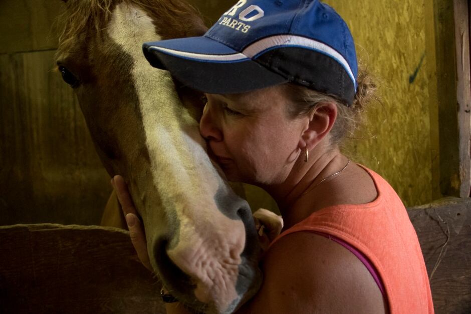 BC Wildfire Karla Hein Lost horse