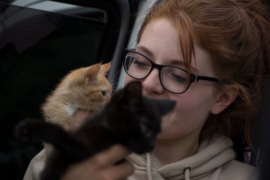 BC Wildfire Evacuation Centre Cats Rescue Evacuees