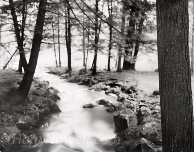 Harry Nowell Chelsea Creek