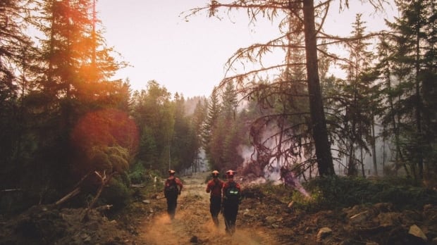 firefighter b.c. fire