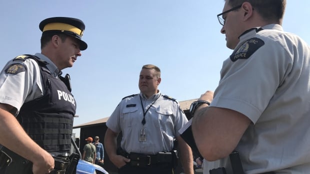 Two charged over dead seagull at Country Thunder Saskatchewan